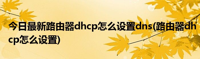 今日最新路由器dhcp怎么设置dns(路由器dhcp怎么设置)