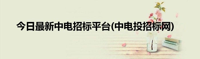 今日最新中电招标平台(中电投招标网)