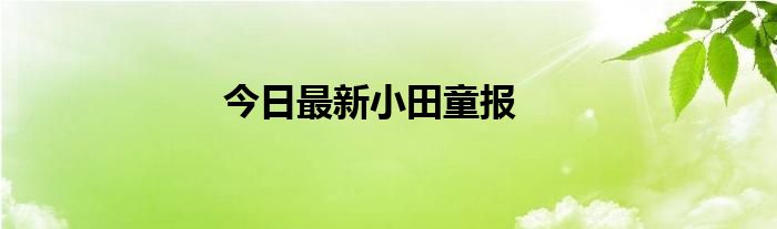 今日最新小田童报