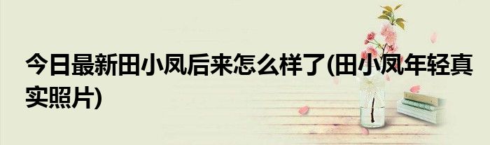 今日最新田小凤后来怎么样了(田小凤年轻真实照片)
