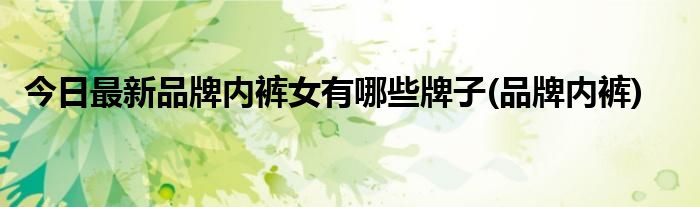 今日最新品牌内裤女有哪些牌子(品牌内裤)