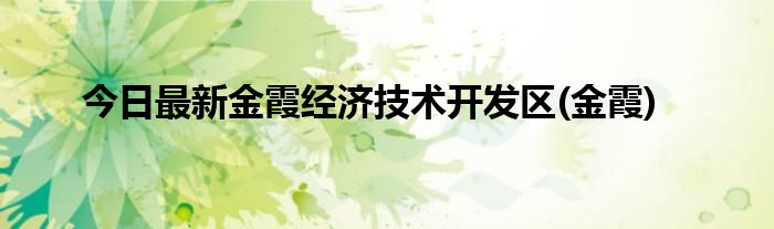 今日最新金霞经济技术开发区(金霞)