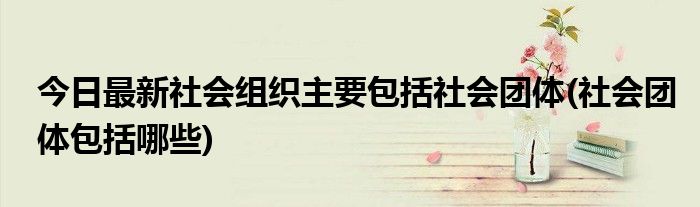 今日最新社会组织主要包括社会团体(社会团体包括哪些)
