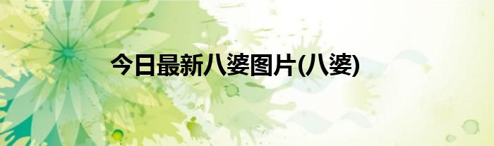 今日最新八婆图片(八婆)