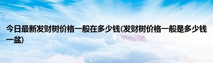 今日最新发财树价格一般在多少钱(发财树价格一般是多少钱一盆)