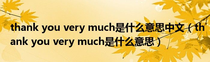 thank you very much是什么意思中文（thank you very much是什么意思）