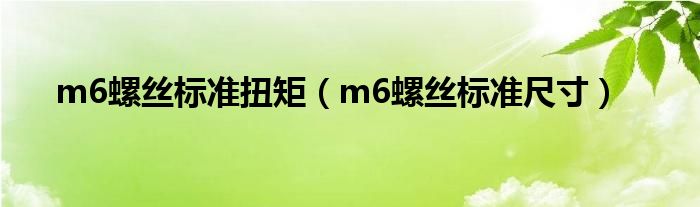 m6螺丝标准扭矩（m6螺丝标准尺寸）