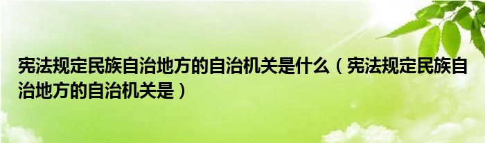 宪法规定民族自治地方的自治机关是什么（宪法规定民族自治地方的自治机关是）