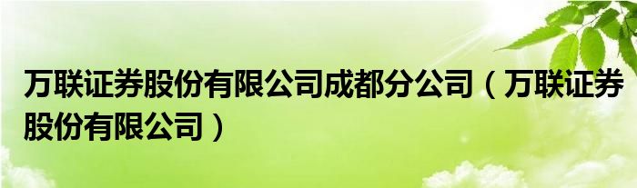 万联证券股份有限公司成都分公司（万联证券股份有限公司）