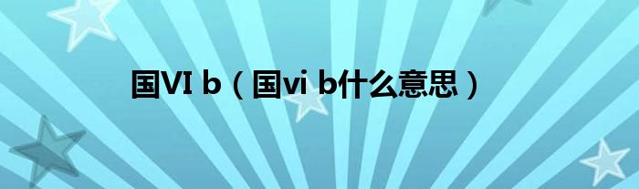 国VI b（国vi b什么意思）