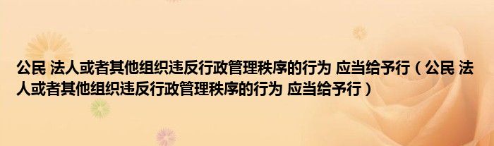 公民 法人或者其他组织违反行政管理秩序的行为 应当给予行（公民 法人或者其他组织违反行政管理秩序的行为 应当给予行）