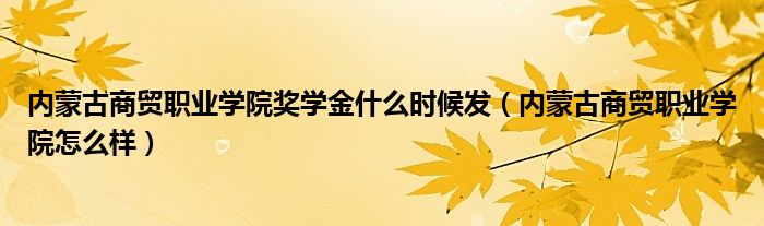 内蒙古商贸职业学院奖学金什么时候发（内蒙古商贸职业学院怎么样）