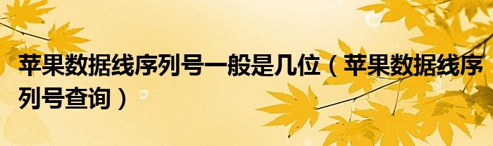 苹果数据线序列号一般是几位（苹果数据线序列号查询）