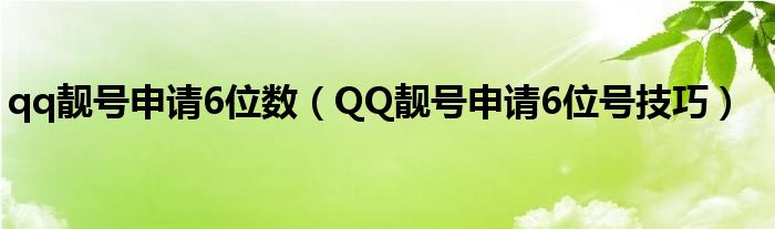 qq靓号申请6位数（QQ靓号申请6位号技巧）