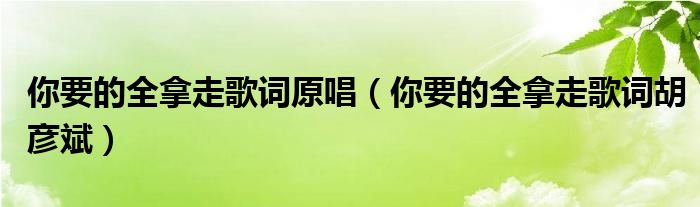 你要的全拿走歌词原唱（你要的全拿走歌词胡彦斌）