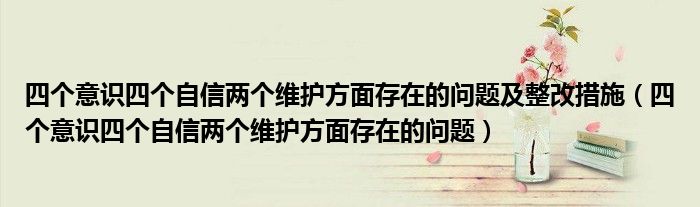 四个意识四个自信两个维护方面存在的问题及整改措施（四个意识四个自信两个维护方面存在的问题）