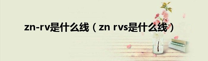 zn-rv是什么线（zn rvs是什么线）