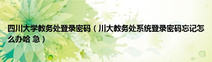 四川大学教务处登录密码（川大教务处系统登录密码忘记怎么办哈 急）