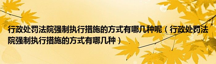 行政处罚法院强制执行措施的方式有哪几种呢（行政处罚法院强制执行措施的方式有哪几种）