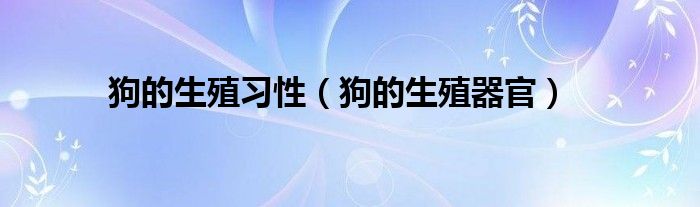 狗的生殖习性（狗的生殖器官）