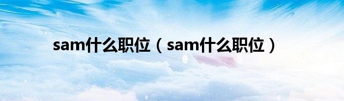 sam什么职位（sam什么职位）