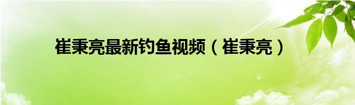 崔秉亮最新钓鱼视频（崔秉亮）