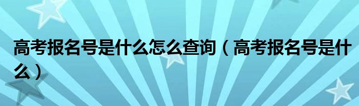 高考报名号是什么怎么查询（高考报名号是什么）