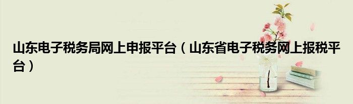 山东电子税务局网上申报平台（山东省电子税务网上报税平台）