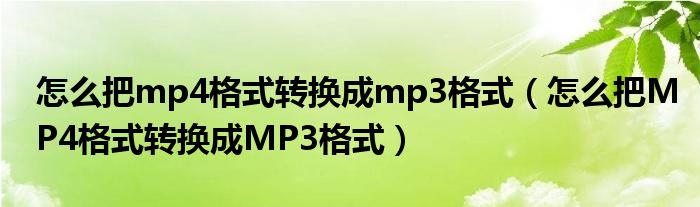 怎么把mp4格式转换成mp3格式（怎么把MP4格式转换成MP3格式）