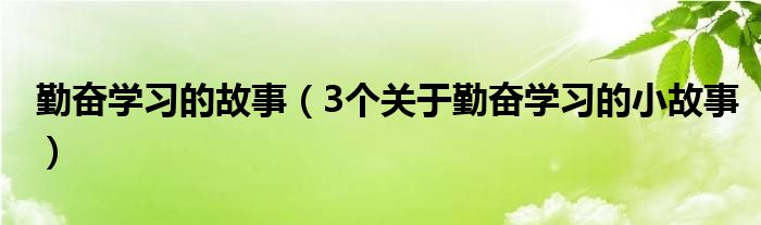 勤奋学习的故事（3个关于勤奋学习的小故事）