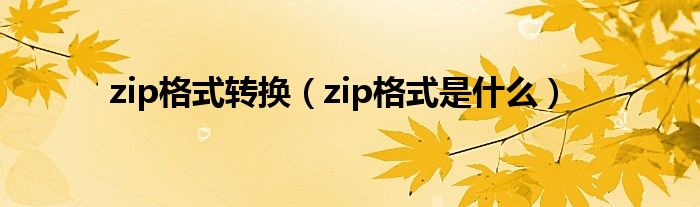 zip格式转换（zip格式是什么）