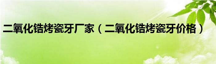 二氧化锆烤瓷牙厂家（二氧化锆烤瓷牙价格）