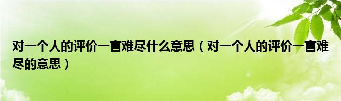 对一个人的评价一言难尽什么意思（对一个人的评价一言难尽的意思）