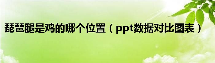 琵琶腿是鸡的哪个位置（ppt数据对比图表）