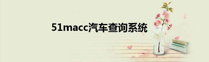 51macc汽车查询系统