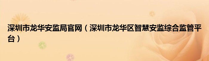 深圳市龙华安监局官网（深圳市龙华区智慧安监综合监管平台）