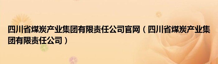 四川省煤炭产业集团有限责任公司官网（四川省煤炭产业集团有限责任公司）