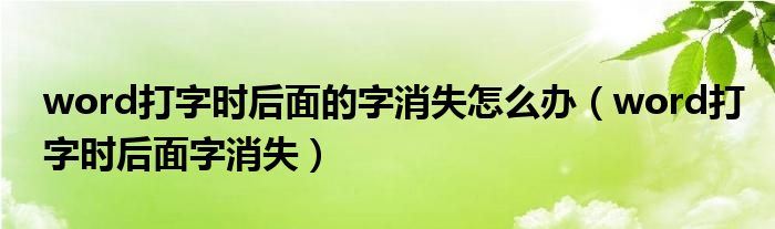 word打字时后面的字消失怎么办（word打字时后面字消失）