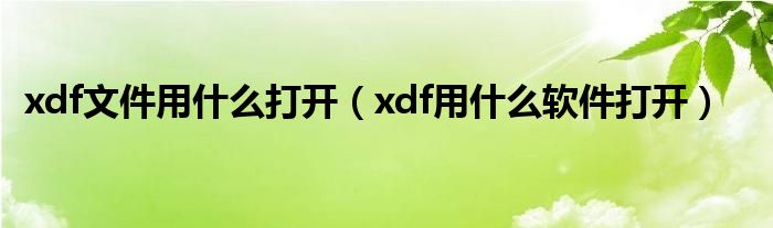 xdf文件用什么打开（xdf用什么软件打开）