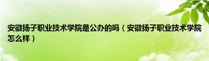 安徽扬子职业技术学院是公办的吗（安徽扬子职业技术学院怎么样）