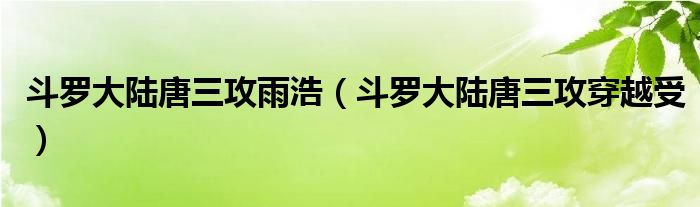 斗罗大陆唐三攻雨浩（斗罗大陆唐三攻穿越受）