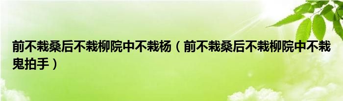 前不栽桑后不栽柳院中不栽杨（前不栽桑后不栽柳院中不栽鬼拍手）