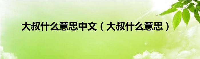 大叔什么意思中文（大叔什么意思）