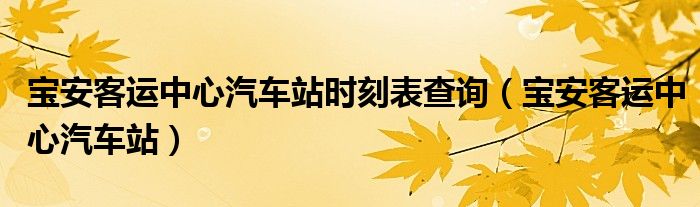 宝安客运中心汽车站时刻表查询（宝安客运中心汽车站）