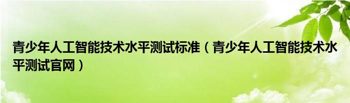 青少年人工智能技术水平测试标准（青少年人工智能技术水平测试官网）