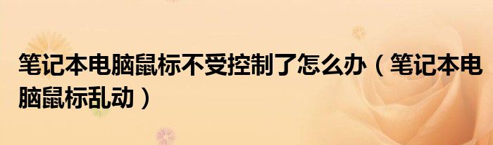 笔记本电脑鼠标不受控制了怎么办（笔记本电脑鼠标乱动）