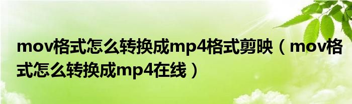 mov格式怎么转换成mp4格式剪映（mov格式怎么转换成mp4在线）