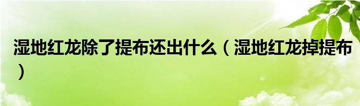 湿地红龙除了提布还出什么（湿地红龙掉提布）