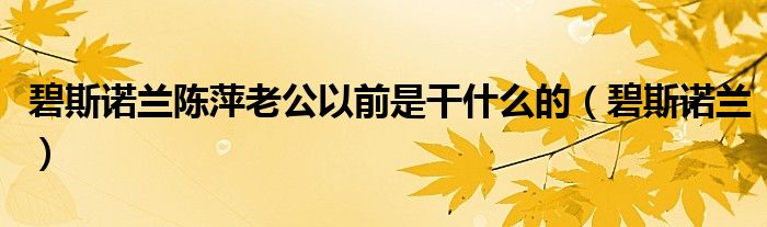 碧斯诺兰陈萍老公以前是干什么的（碧斯诺兰）