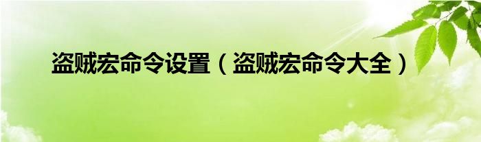 盗贼宏命令设置（盗贼宏命令大全）